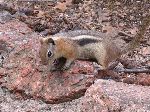 2007-0613-1337-45.jpg